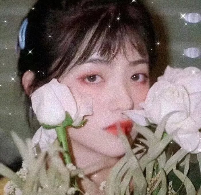 盗月者粤语